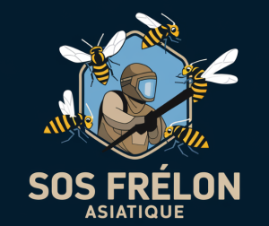 Sos nid de frelon asiatique Lyon